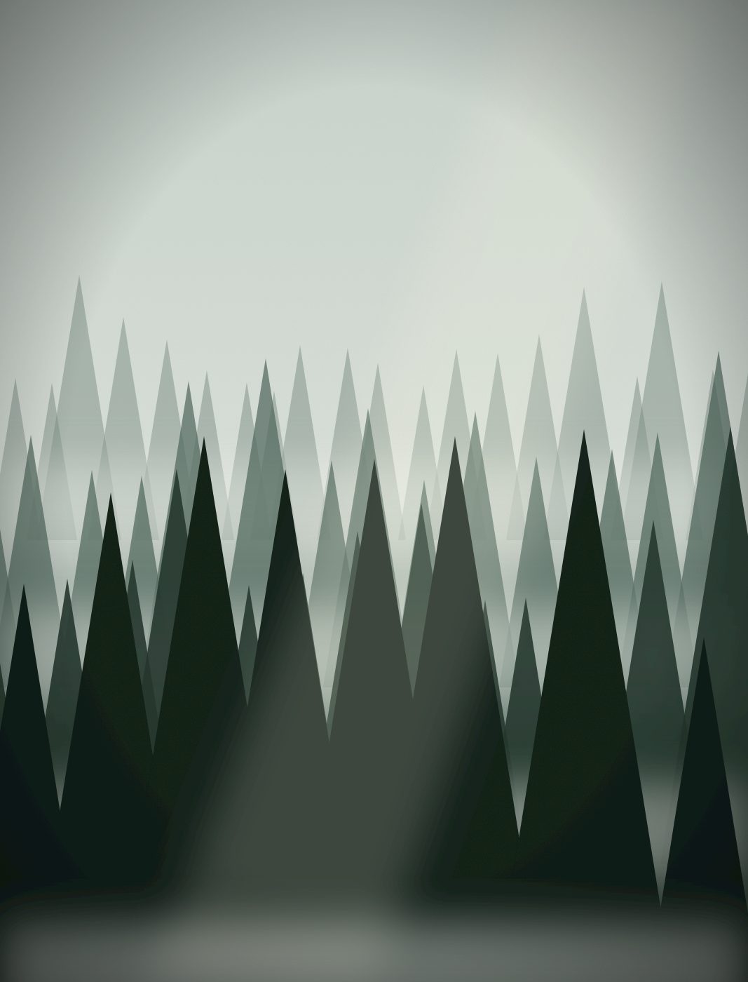 Fir forest dissolving into fog