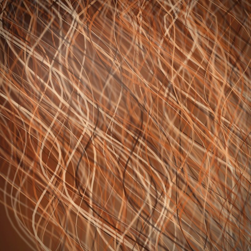 Close-up of copper balayage hair by Noa